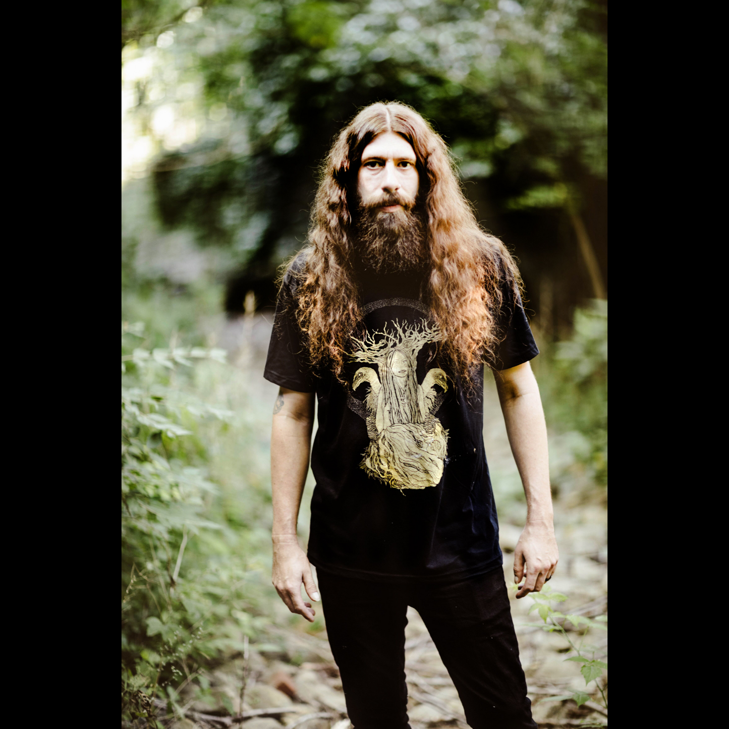 Descending transcendence